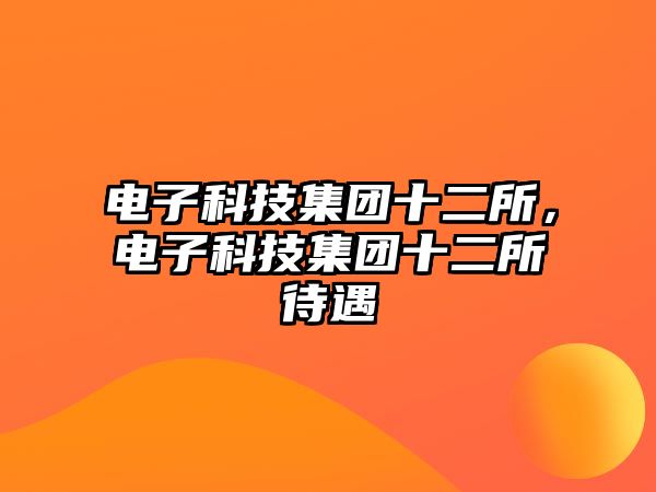 電子科技集團十二所，電子科技集團十二所待遇