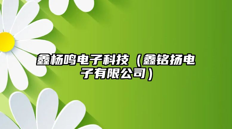 鑫楊鳴電子科技（鑫銘揚(yáng)電子有限公司）