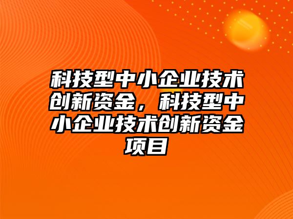 科技型中小企業(yè)技術(shù)創(chuàng)新資金，科技型中小企業(yè)技術(shù)創(chuàng)新資金項(xiàng)目