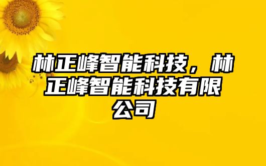 林正峰智能科技，林正峰智能科技有限公司