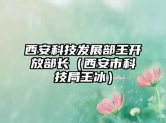 西安科技發(fā)展部王開放部長(zhǎng)（西安市科技局王冰）