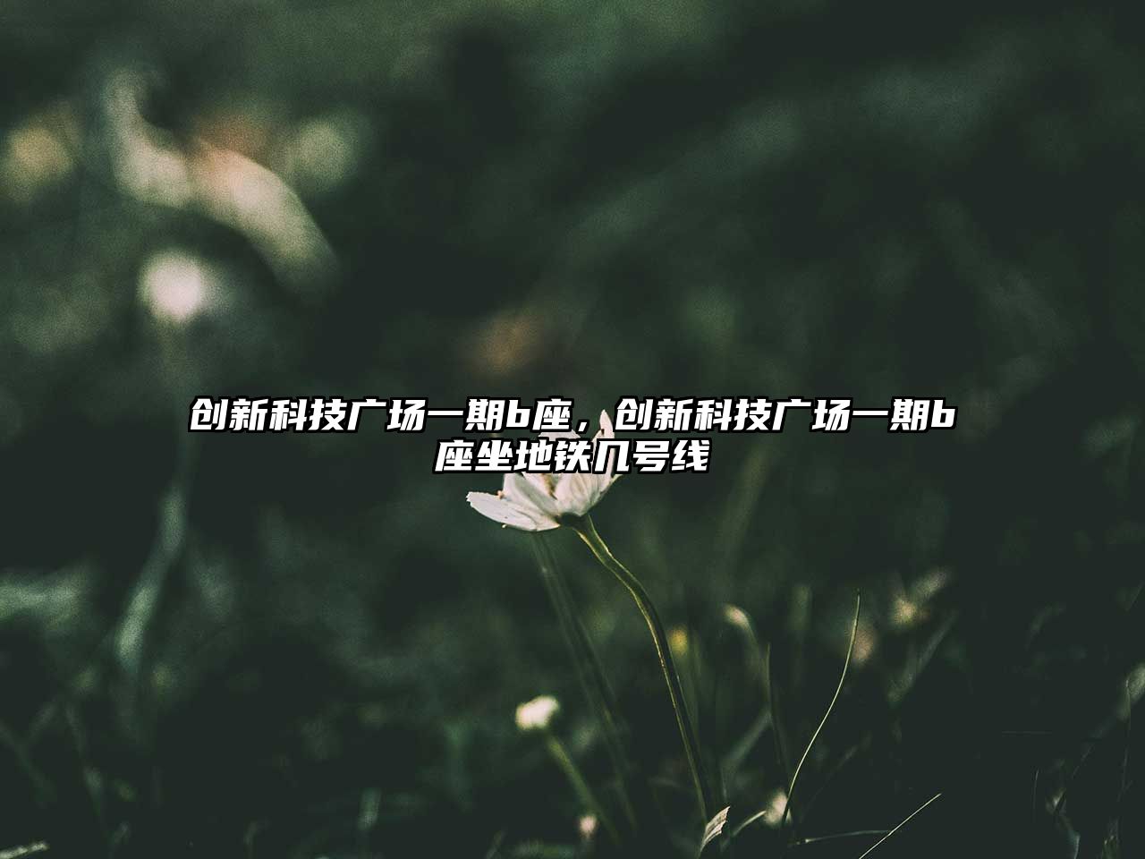 創(chuàng)新科技廣場(chǎng)一期b座，創(chuàng)新科技廣場(chǎng)一期b座坐地鐵幾號(hào)線