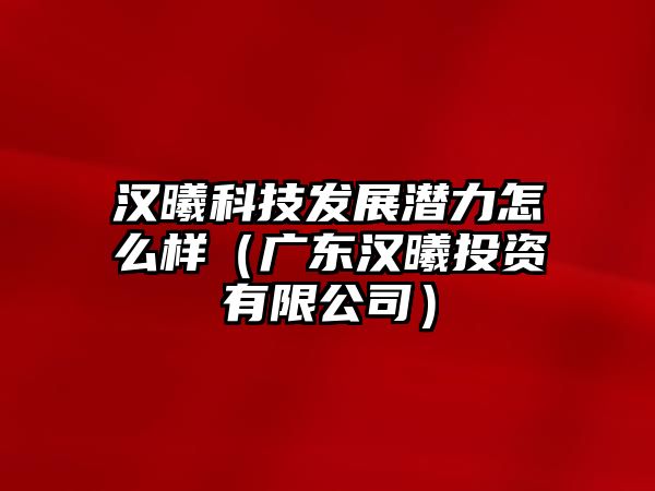 漢曦科技發(fā)展?jié)摿υ趺礃樱◤V東漢曦投資有限公司）