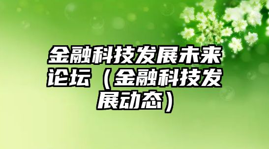 金融科技發(fā)展未來論壇（金融科技發(fā)展動態(tài)）