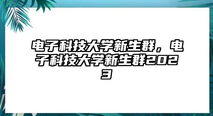 電子科技大學(xué)新生群，電子科技大學(xué)新生群2023