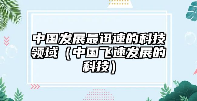 中國發(fā)展最迅速的科技領(lǐng)域（中國飛速發(fā)展的科技）