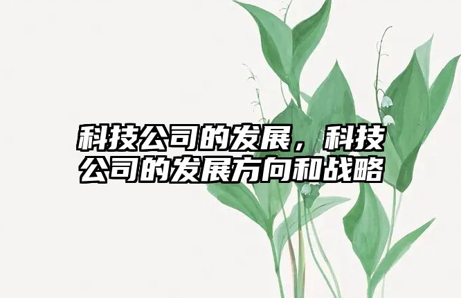 科技公司的發(fā)展，科技公司的發(fā)展方向和戰(zhàn)略