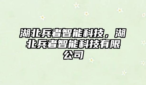 湖北兵者智能科技，湖北兵者智能科技有限公司