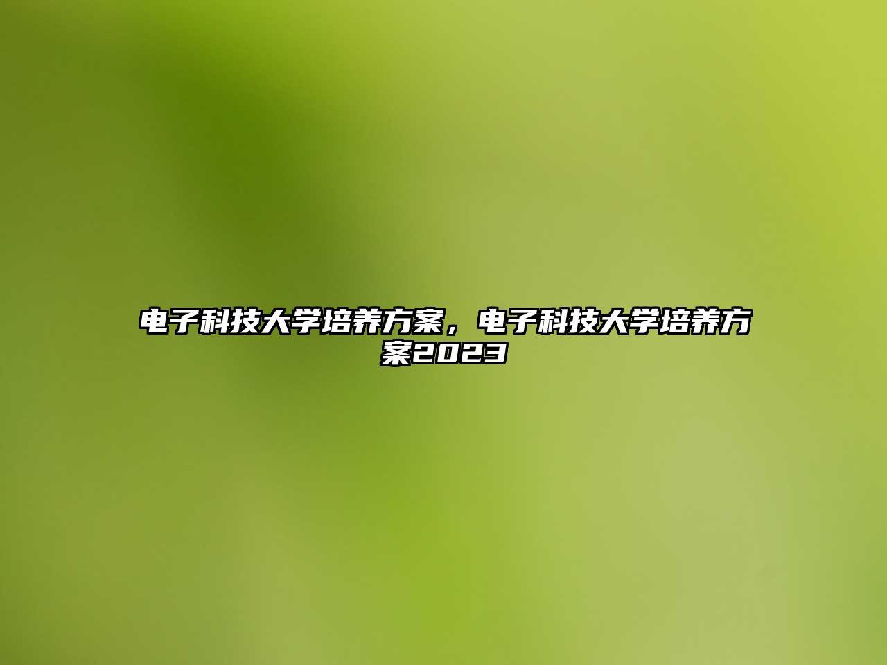 電子科技大學(xué)培養(yǎng)方案，電子科技大學(xué)培養(yǎng)方案2023