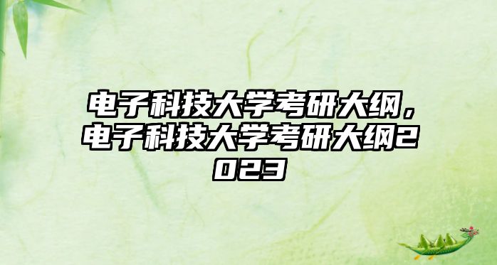 電子科技大學(xué)考研大綱，電子科技大學(xué)考研大綱2023