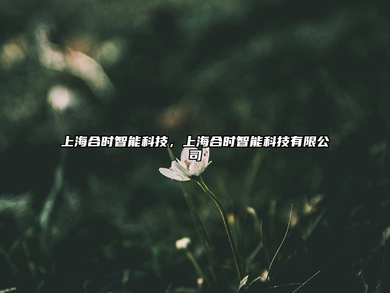 上海合時(shí)智能科技，上海合時(shí)智能科技有限公司