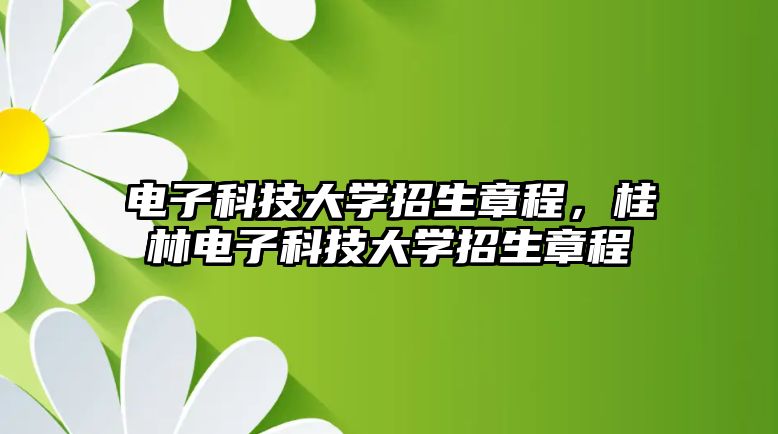 電子科技大學(xué)招生章程，桂林電子科技大學(xué)招生章程