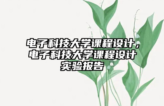 電子科技大學(xué)課程設(shè)計(jì)，電子科技大學(xué)課程設(shè)計(jì)實(shí)驗(yàn)報(bào)告