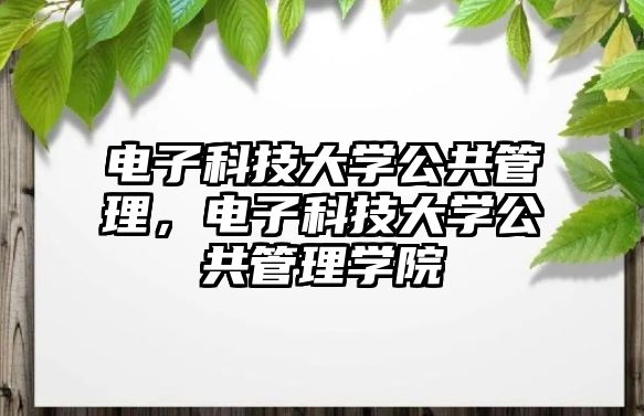 電子科技大學(xué)公共管理，電子科技大學(xué)公共管理學(xué)院