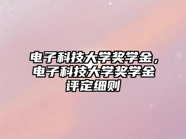 電子科技大學(xué)獎學(xué)金，電子科技大學(xué)獎學(xué)金評定細則