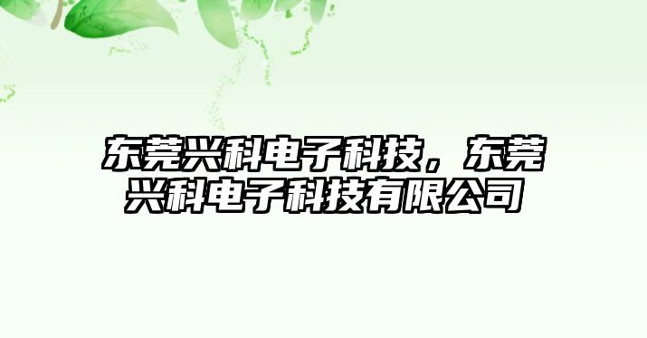 東莞興科電子科技，東莞興科電子科技有限公司