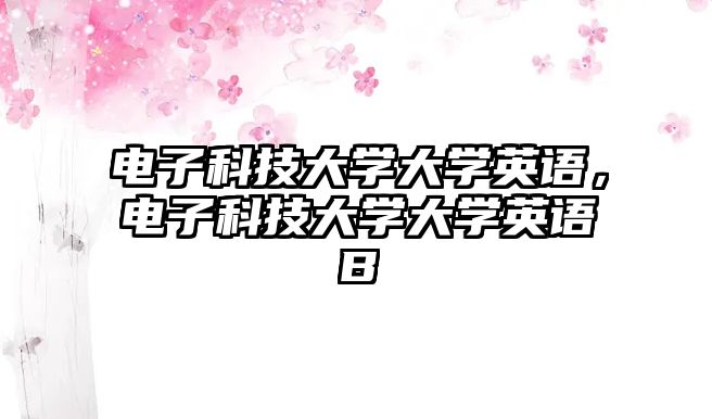 電子科技大學(xué)大學(xué)英語(yǔ)，電子科技大學(xué)大學(xué)英語(yǔ)B