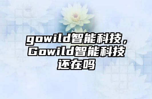 gowild智能科技，Gowild智能科技還在嗎