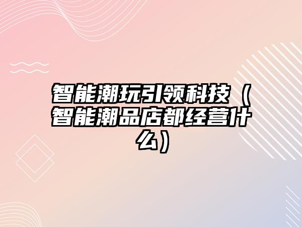 智能潮玩引領(lǐng)科技（智能潮品店都經(jīng)營(yíng)什么）