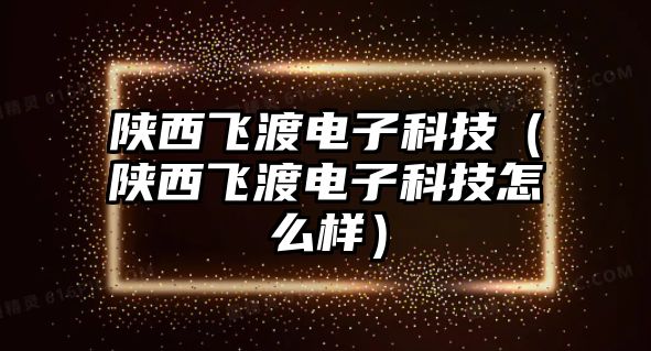 陜西飛渡電子科技（陜西飛渡電子科技怎么樣）