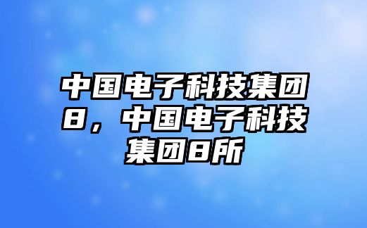 中國電子科技集團(tuán)8，中國電子科技集團(tuán)8所