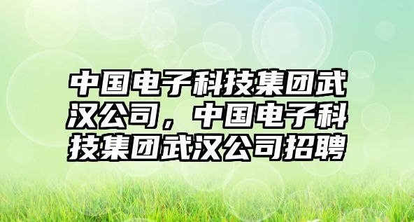 中國(guó)電子科技集團(tuán)武漢公司，中國(guó)電子科技集團(tuán)武漢公司招聘