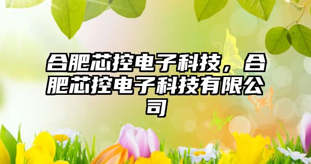 合肥芯控電子科技，合肥芯控電子科技有限公司