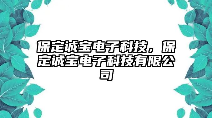 保定誠(chéng)寶電子科技，保定誠(chéng)寶電子科技有限公司