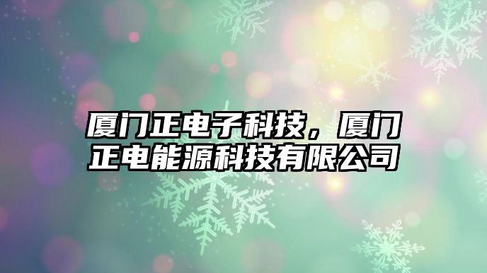 廈門正電子科技，廈門正電能源科技有限公司