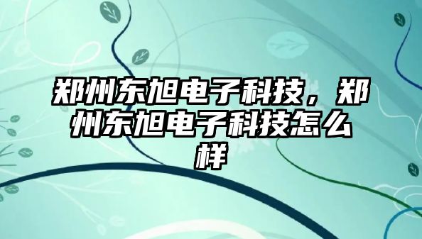 鄭州東旭電子科技，鄭州東旭電子科技怎么樣