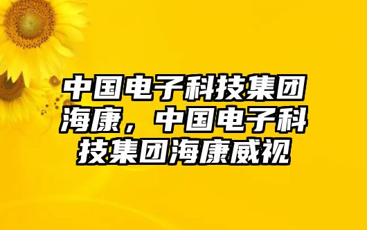 中國(guó)電子科技集團(tuán)?？担袊?guó)電子科技集團(tuán)?？低? class=