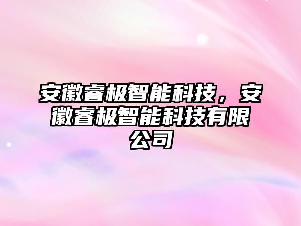 安徽睿極智能科技，安徽睿極智能科技有限公司