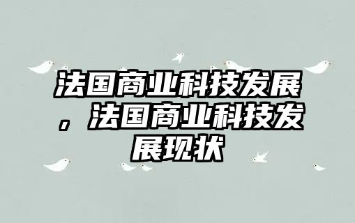 法國(guó)商業(yè)科技發(fā)展，法國(guó)商業(yè)科技發(fā)展現(xiàn)狀