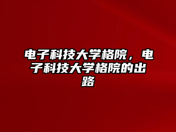 電子科技大學格院，電子科技大學格院的出路