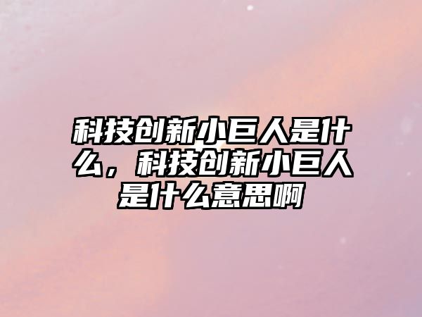 科技創(chuàng)新小巨人是什么，科技創(chuàng)新小巨人是什么意思啊