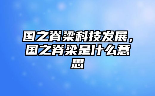 國之脊梁科技發(fā)展，國之脊梁是什么意思