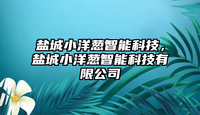 鹽城小洋蔥智能科技，鹽城小洋蔥智能科技有限公司