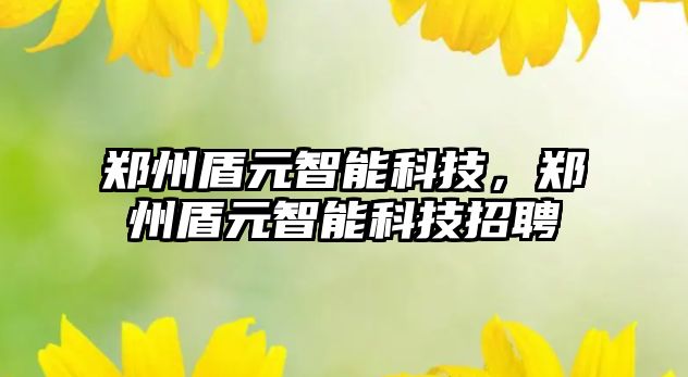 鄭州盾元智能科技，鄭州盾元智能科技招聘