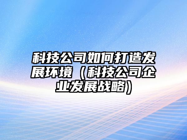 科技公司如何打造發(fā)展環(huán)境（科技公司企業(yè)發(fā)展戰(zhàn)略）