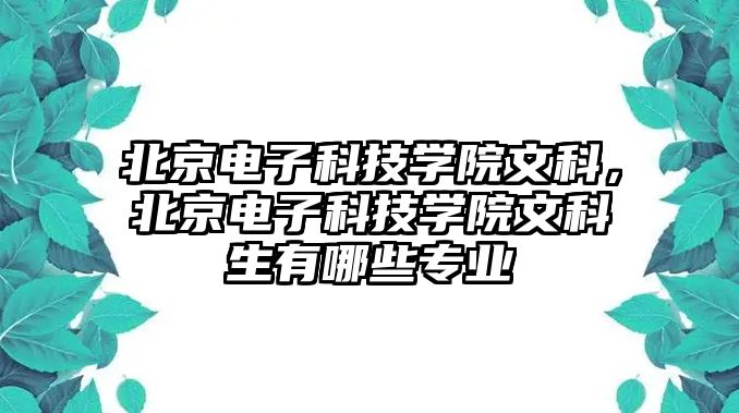 北京電子科技學(xué)院文科，北京電子科技學(xué)院文科生有哪些專業(yè)