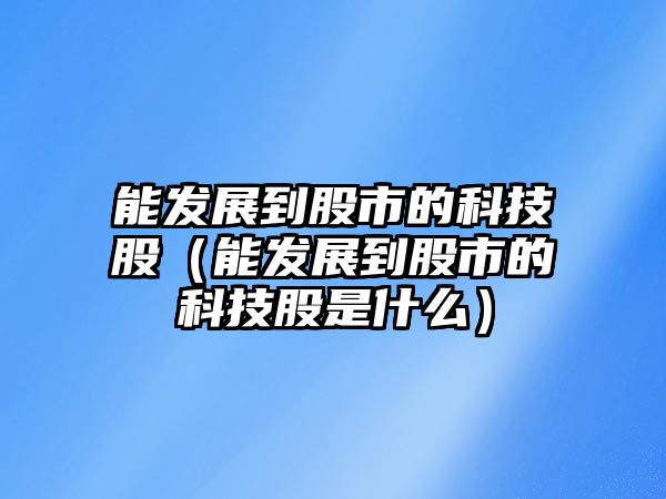 能發(fā)展到股市的科技股（能發(fā)展到股市的科技股是什么）