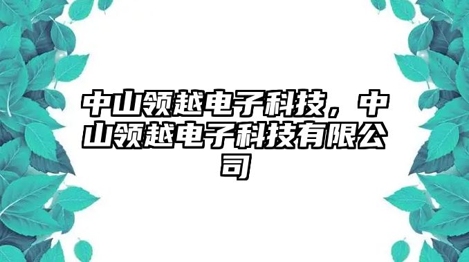 中山領(lǐng)越電子科技，中山領(lǐng)越電子科技有限公司