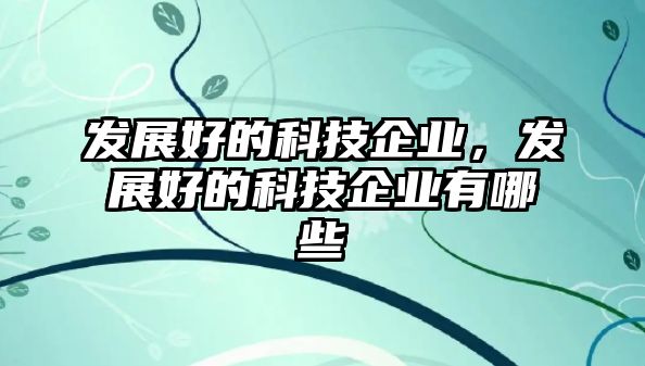 發(fā)展好的科技企業(yè)，發(fā)展好的科技企業(yè)有哪些