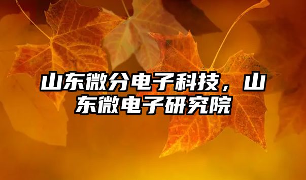 山東微分電子科技，山東微電子研究院