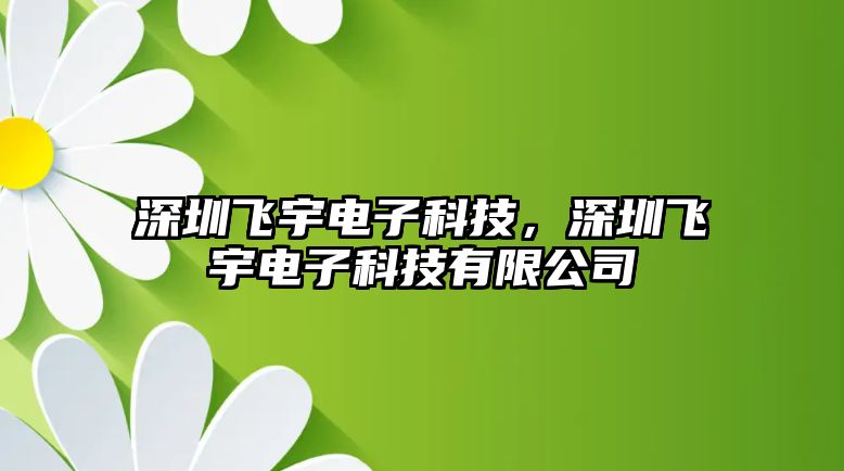 深圳飛宇電子科技，深圳飛宇電子科技有限公司