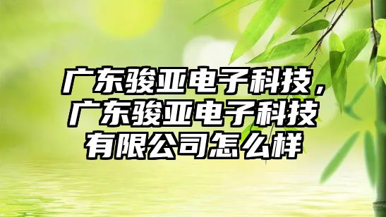 廣東駿亞電子科技，廣東駿亞電子科技有限公司怎么樣