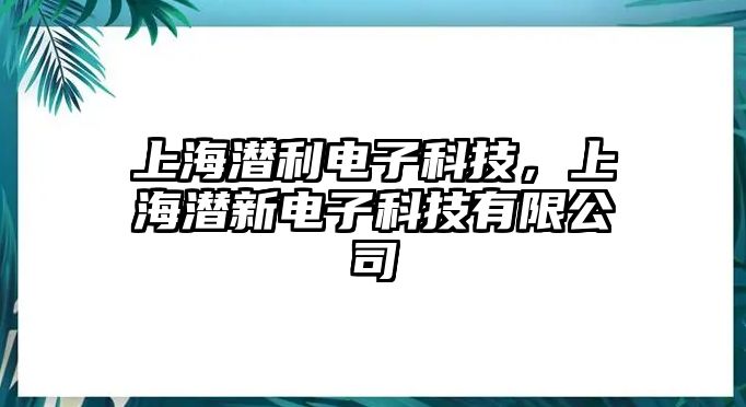 上海潛利電子科技，上海潛新電子科技有限公司