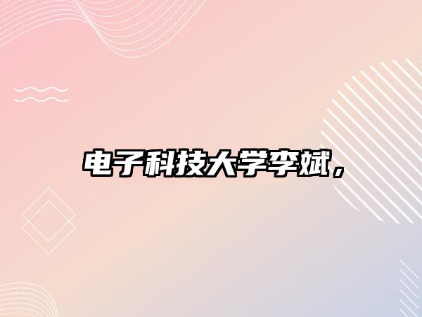 電子科技大學(xué)李斌，