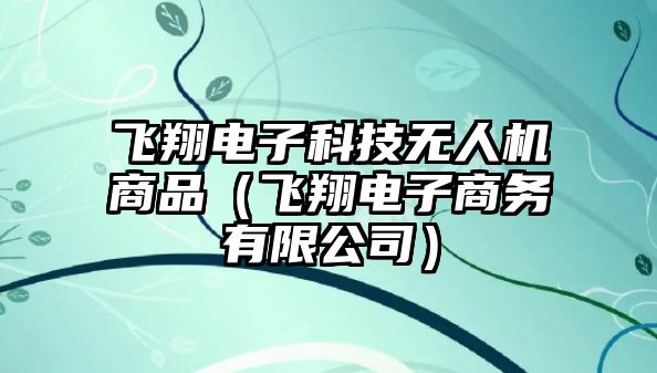 飛翔電子科技無人機商品（飛翔電子商務有限公司）