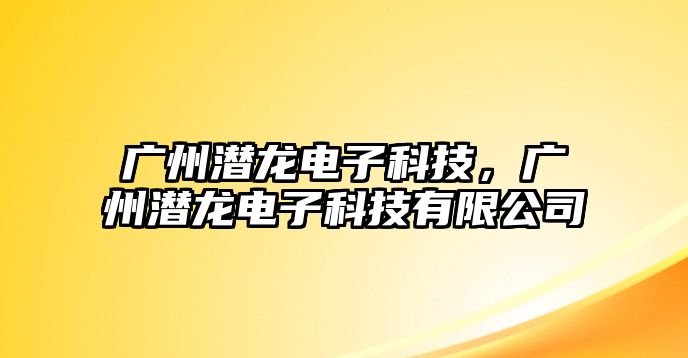 廣州潛龍電子科技，廣州潛龍電子科技有限公司